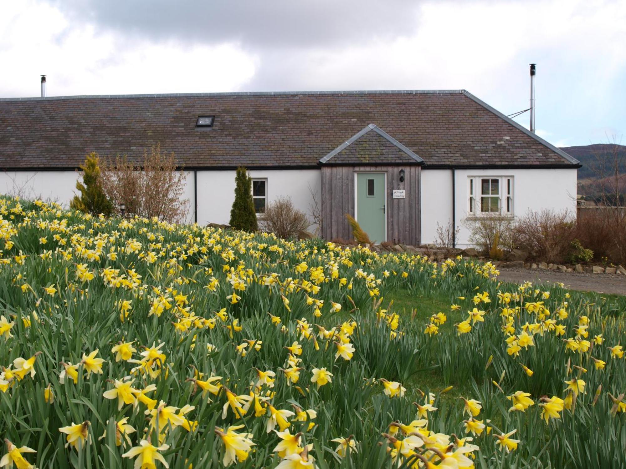 Dalnoid Cottages & Treehouses Nr Glenshee Экстерьер фото